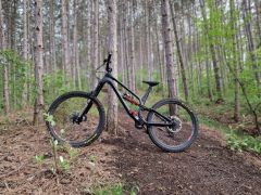 Canyon Torque CF 7