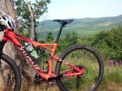 Specialized epic 29