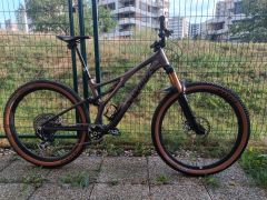 Specialized S-Works Stumpjumper