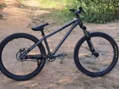 Kellys whip 10 (custom)