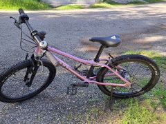 Rascal 20 Raspberry
