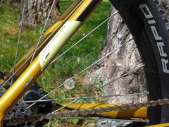 Kellys Spider 70