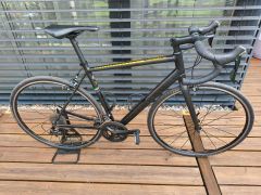 Canyon Endurace AL