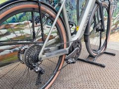 Canyon grayl on ,M"