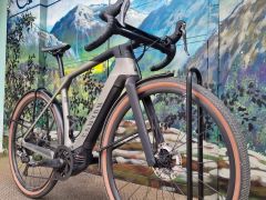 Canyon grayl on ,M"