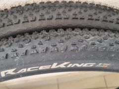 Continental race king 29x2.0