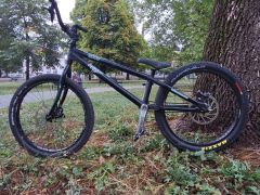 Street trial onza zoot