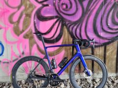 No Limited ProRace 65