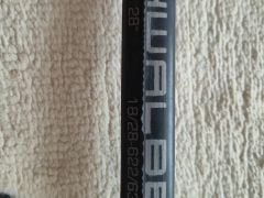 Dusa Schwalbe