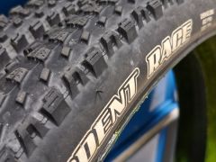 Predam Maxxis Rekon 2,4 + Ardent race 2,35