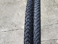 Schwalbe winter