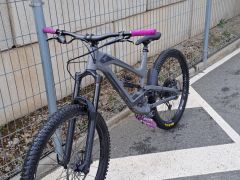 Yt capra 2019