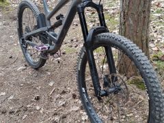 Yt capra 2019