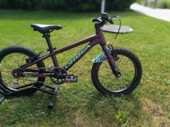 Orbea MX 16