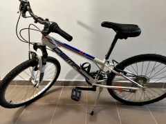 Detský bicykel Demo Iseo 24