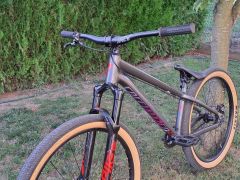 Specialized P3 Custom