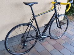 Canyon Endurace AL