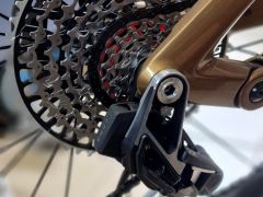 Sram AXS XX T Type E Bike