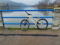 Ctm dirtking custom