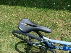 Marin Gestalt X10 2022