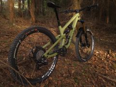 Canyon Torque 27.5 CF 9 (Big Bamboo)