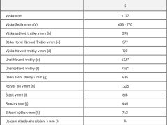 Canyon Torque 27.5 CF 9 (Big Bamboo) (S)