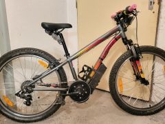 Spezialized Hotrock s motorom Tongsheng Tsdz2