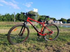 GT Aggressor Sport 29
