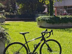 Cannondale Synapse Disc 105 Women, 51cm