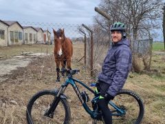 Canyon Spectral AL5 2017