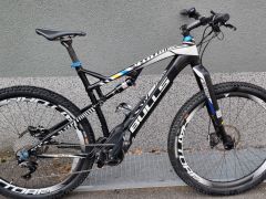 Bulls  E-Stream EVO Zebra