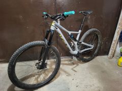 Specialized stumpjumper