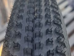 Specialized Renegade Control T5 29x2,35