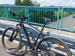 Specialized Rockhopper 29 Elite XL