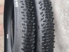 Schwalbe Racing Ralph Performance 29x2.25 1ks