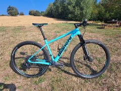 Bianchi Methanol CVS