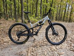 Canyon Spectral 125 AL6 2023 L