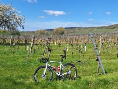 Specialized roubaix SL6  Di2 Ultegra