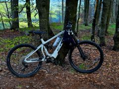 Ctm switch pro