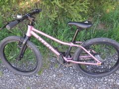 Rascal 20 Raspberry