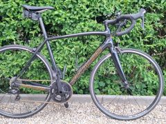 Specialized Tarmac SL4 Sport Sagan Superstar