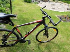 Specialized Rockhopper 29