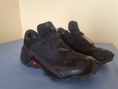 Salomon Cross Hike GTX 2W