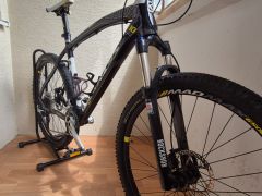 Kellys Thorx 10
