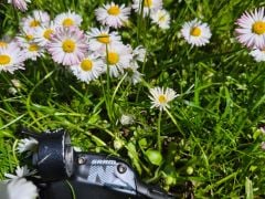 Sram nx radenie 1x12