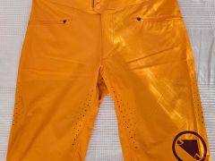Endura Singletrack Lite Shorts