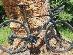 Superior X-Road Team Comp