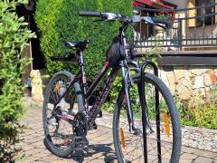 Kellys Clea 30