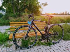 Kross Pulso 2