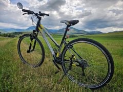 CTM Maxima 1.0 28&quot; 2021